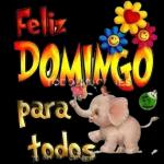 10.17 Pegatinas recomendadas