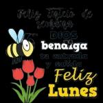Feliz lunes Bendecida Semana!