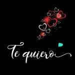isel velasco