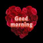 Goeie More mooi en kleurvolle dag