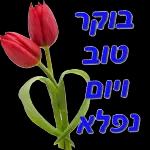 יכול ? אני יכול