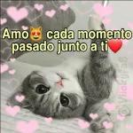 TE QUIERO