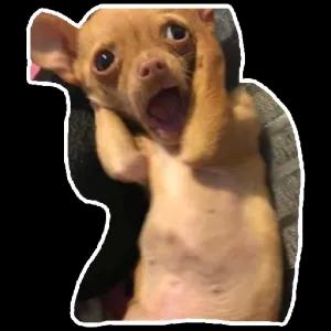 FKwvIX