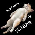 всё я сваливаю