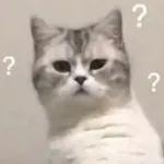 골드브라운 토피넛 라떼