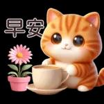 呆萌小橘猫