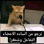 نرجو من الساده الاعضاء التفاعل وشكرا😎