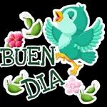 ¡buen dia！