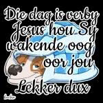 Jy is n
Engel