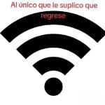 Al único que le suplico que regrese