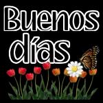buenos días