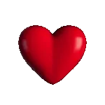 dia de accion de gracias