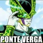 paquete 2