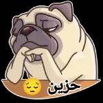 الهم قوي امان...