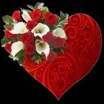 صباح الهنا
لعمري أنا