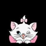 Marry cat❤️❤️
