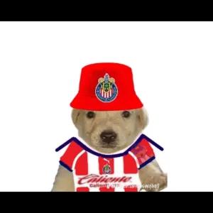 FbiUjk