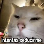 Memes con Frases #2🧠