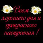 доброе утро