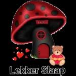 sien jou later in droomland!!