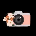  Decorated furniture 🛋