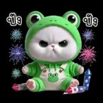 ข้าวต้ม ชุดกบ หน้าบูด