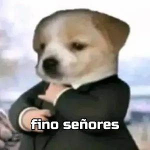 5NwuDP