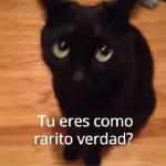 En el baño
