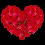I always love y