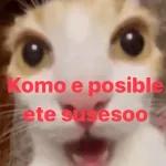 Komo e posible ete susesoo