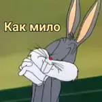 ⭐⭐⭐