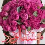 شكرا
يبارك فيك