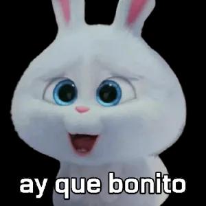 cQBgNR