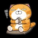 白爛貓11☆超級萌☆