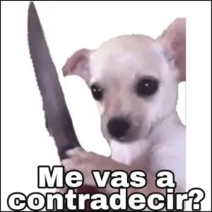 Me vas a contradecir? - getsticker.com