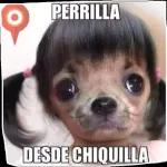 embeces la bida no es como keremos
