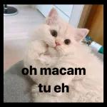 na cukcam