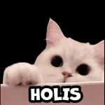 Es la mejor mentira que he escuchado