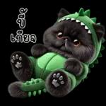 เหมียวดำ ไดโนเขียว