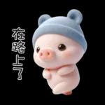 穿小熊裝的可愛寶貝