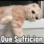 En el baño
