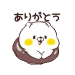 Friends cat GLUTTON2