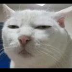 ngubur apa pak?
kenangan