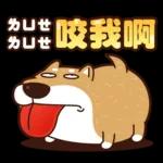 我是你的柴 2