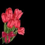 Alles Gute zum Frauentag🎁