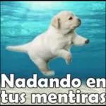 Tengo chisme