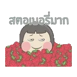 หนูแฮมสเตอร์ตัวน้อย
