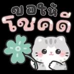 แมวมาร์คัส V.3 : HNY