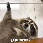Unas nalgadas o que bb?