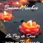 Buenas Noches La Paz de Dios reine en Tu corazón